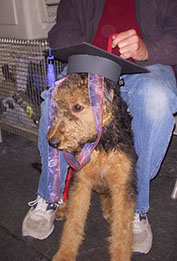 Confident Canine puppy class graduate